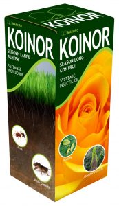 KOINOR