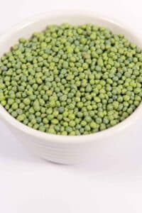 Green polymer-coated prills in a dish showing uniform granule size.