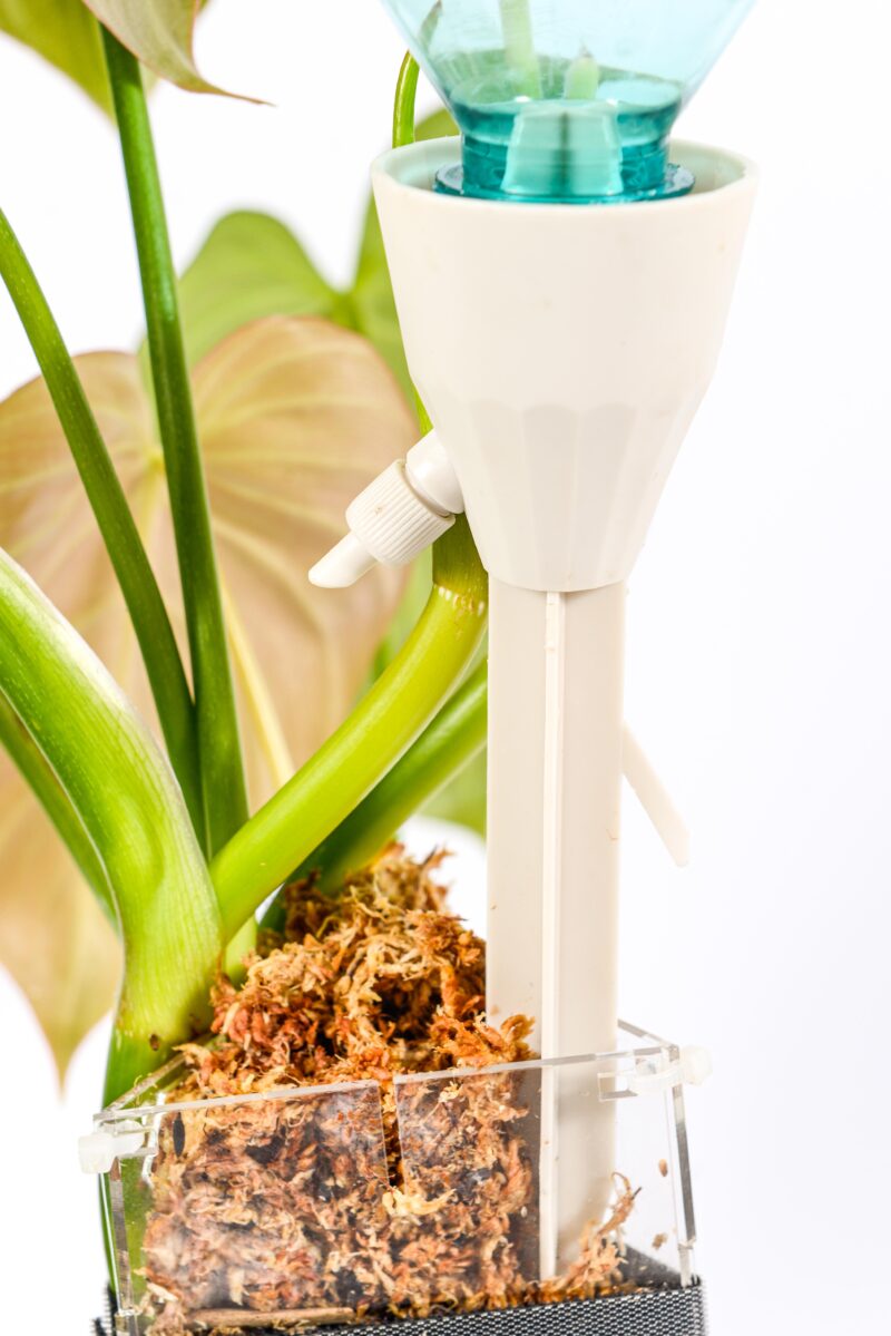 self watering dripper