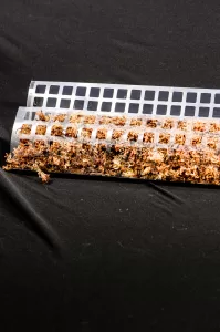 Close-up of transparent moss pole filled with moist sphagnum moss.