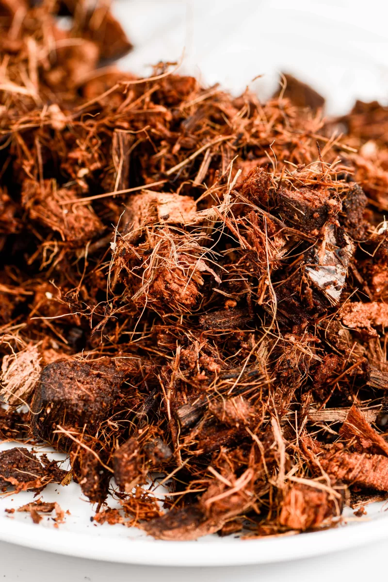 coco husks