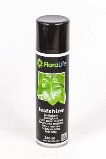Leaf shine spray 250ml