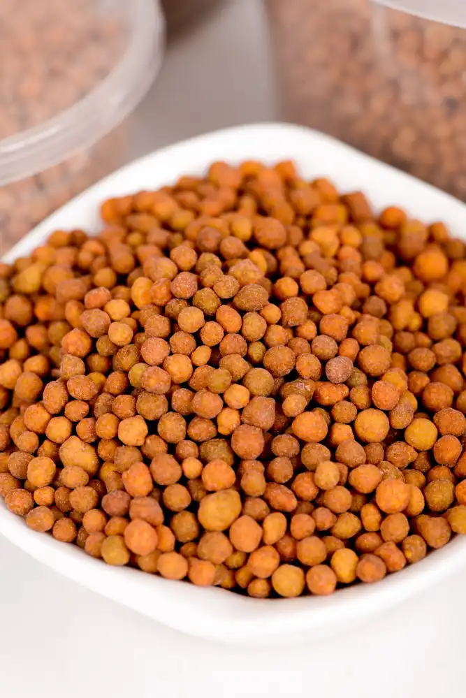 Controlled Release Fertilizer 8month-4 Controlled release fertilizer 8 month with brown prills