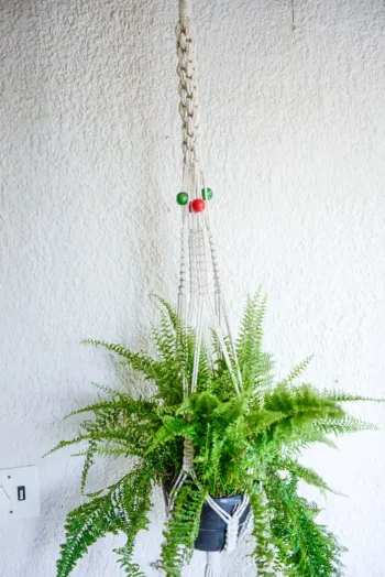Handmade 1 m macramé plant hanger crafted from 4mm cotton twine with colour bead accent