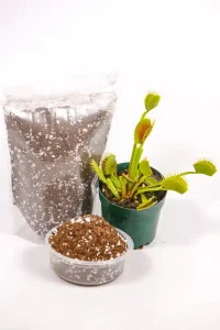 Comparison image of normal potting soil vs. nutrient-free peat/perlite mix.