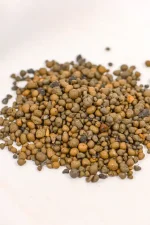 LECA clay pebbles 2–4 mm size for indoor plants.