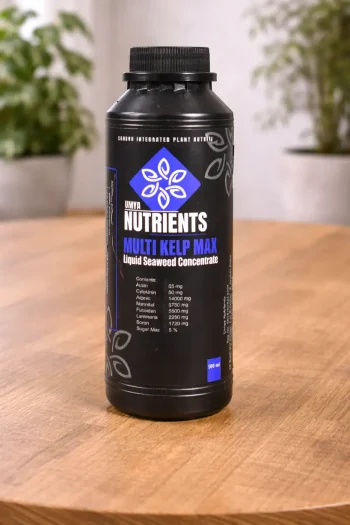 Umya Multi Kelp in a black bottle on wooden table.