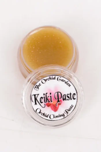 5g keiki paste tub with open lid