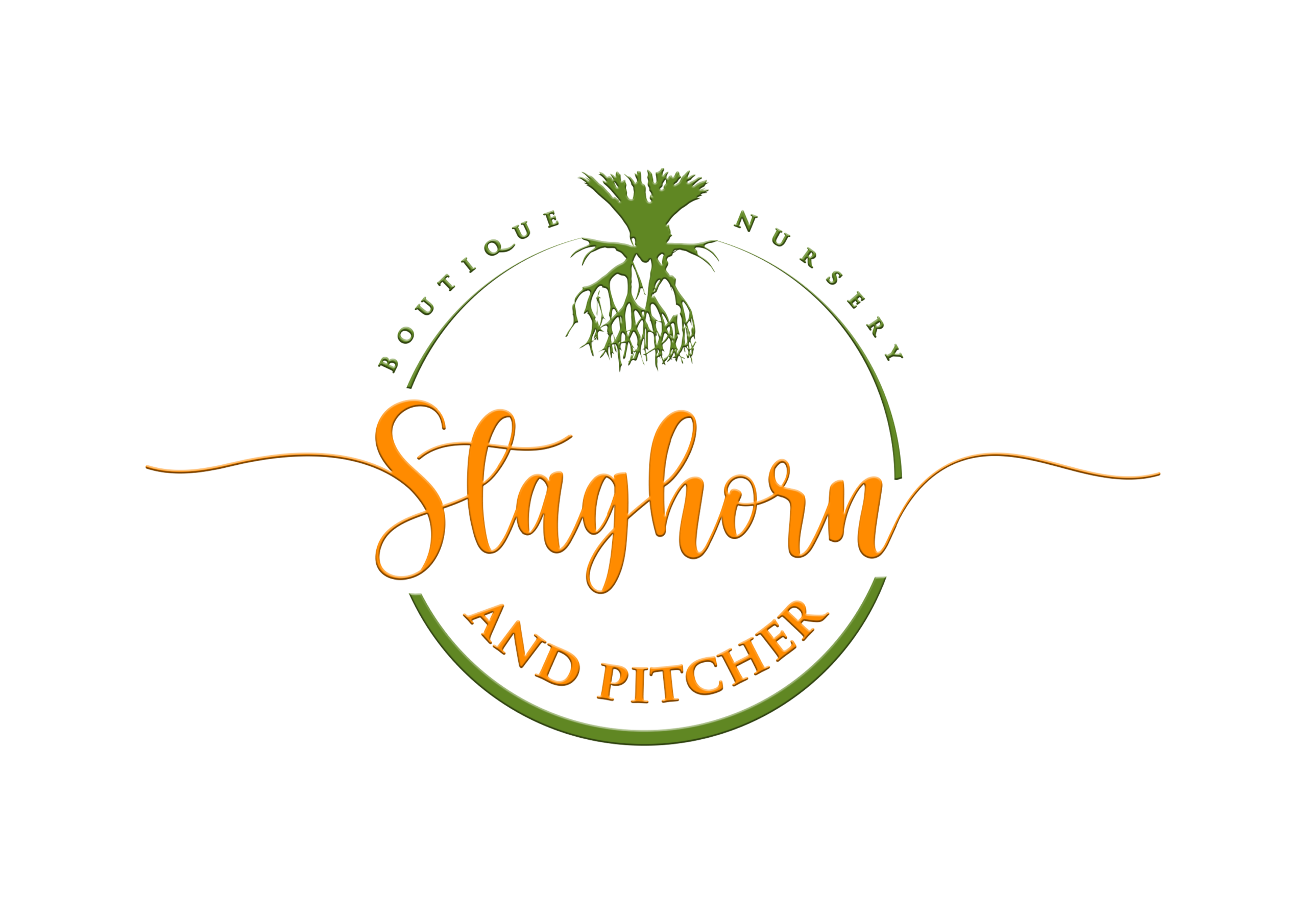 Staghorn and Pitcher