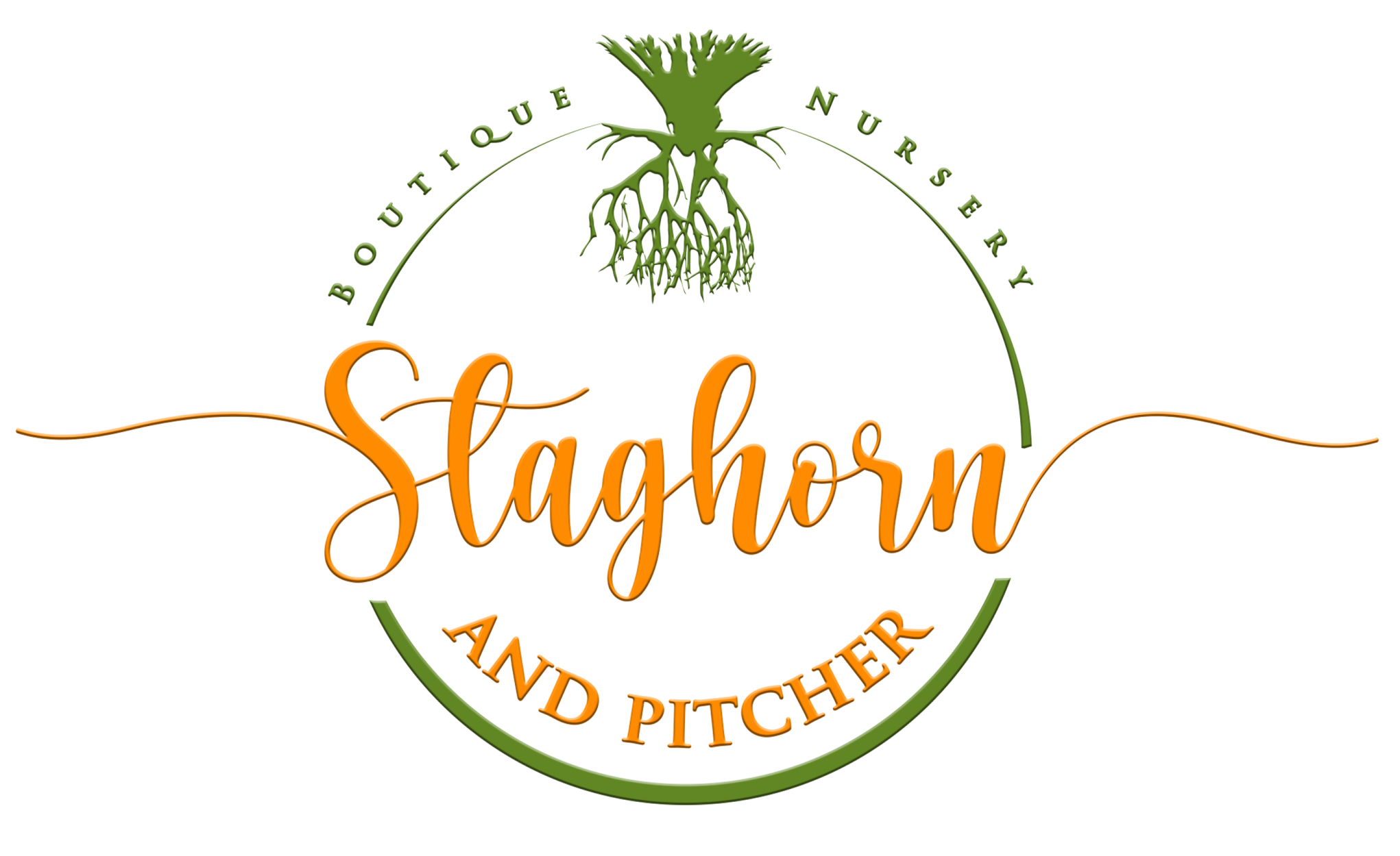 Staghorn and Pitcher